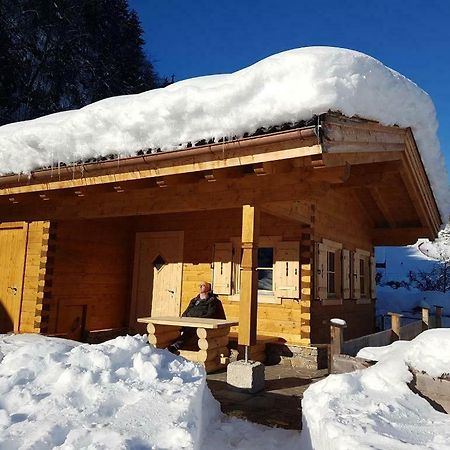 Chalet Sonnheim Lofer Exterior foto